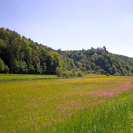 Vendégház Cafe-pension Krems 3*